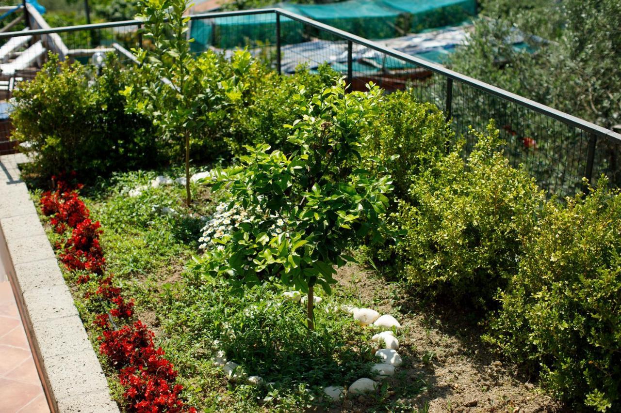 Casa Del Saraceno Villa Massa Lubrense Kültér fotó